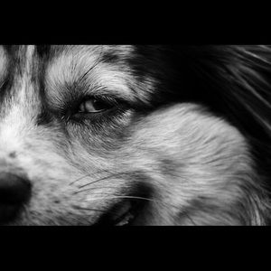 Meet your Posher, Grace